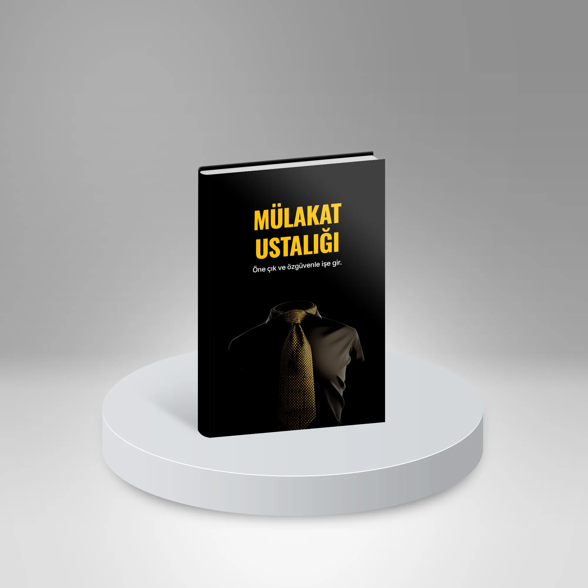 Mülakat Ustalığı