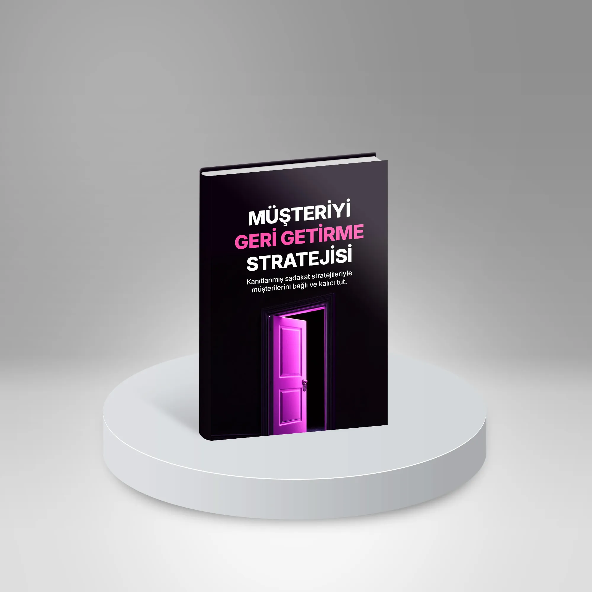 Müşteriyi Geri Getirme Stratejisi