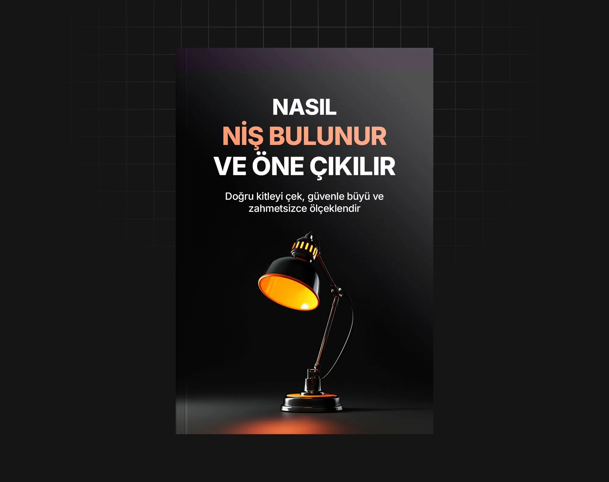 Nasıl Niş Bulunur Ve Öne Çıkılır