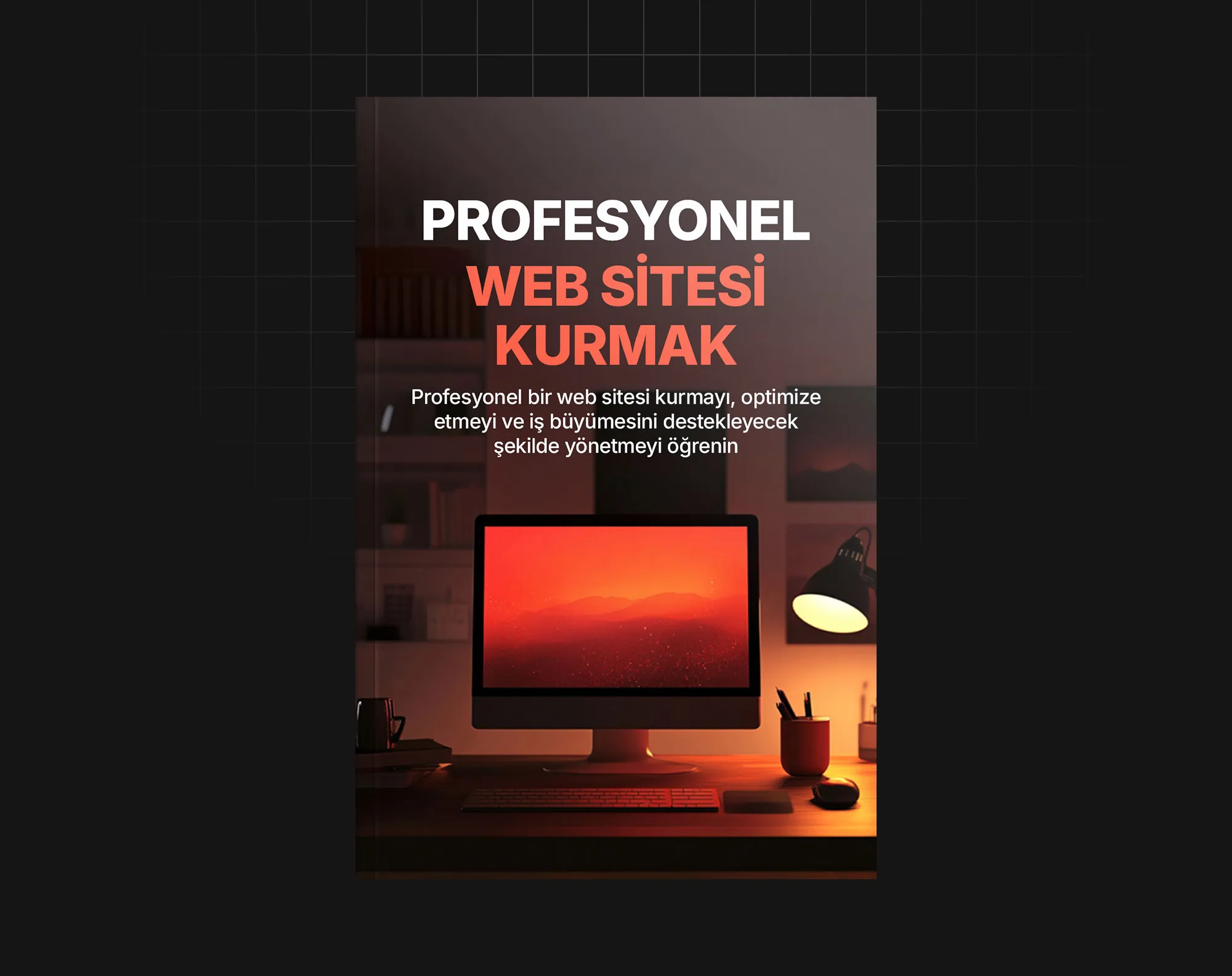 Profesyonel Web Sitesi Kurmak