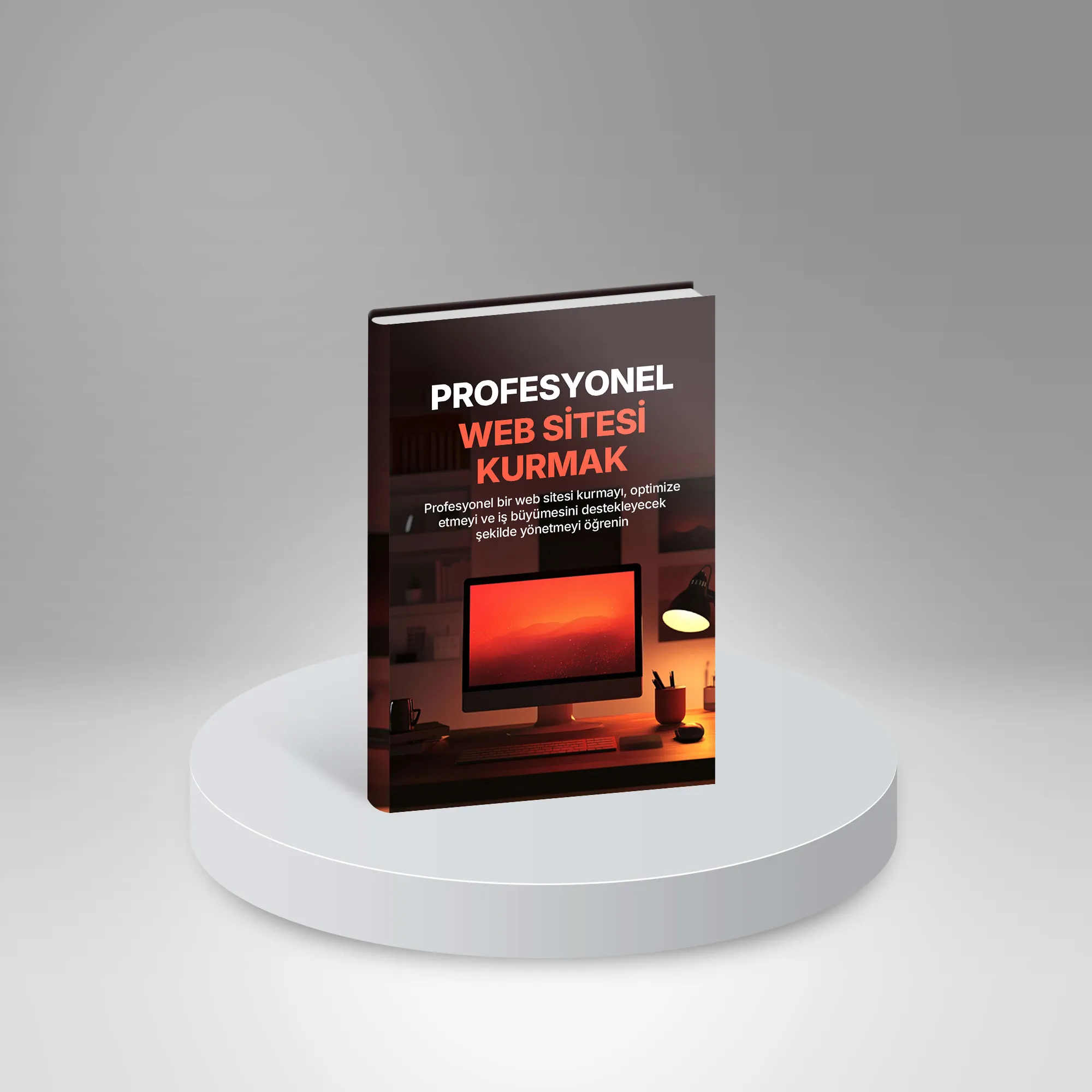 Profesyonel Web Sitesi Kurmak