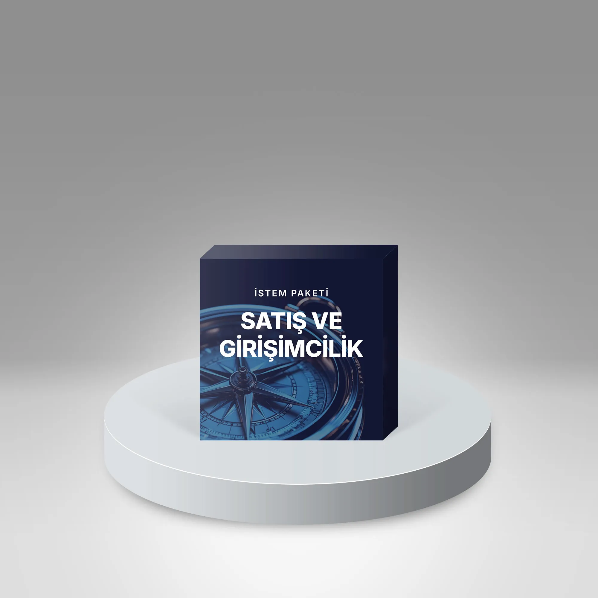 Satış Ve Girişimcilik