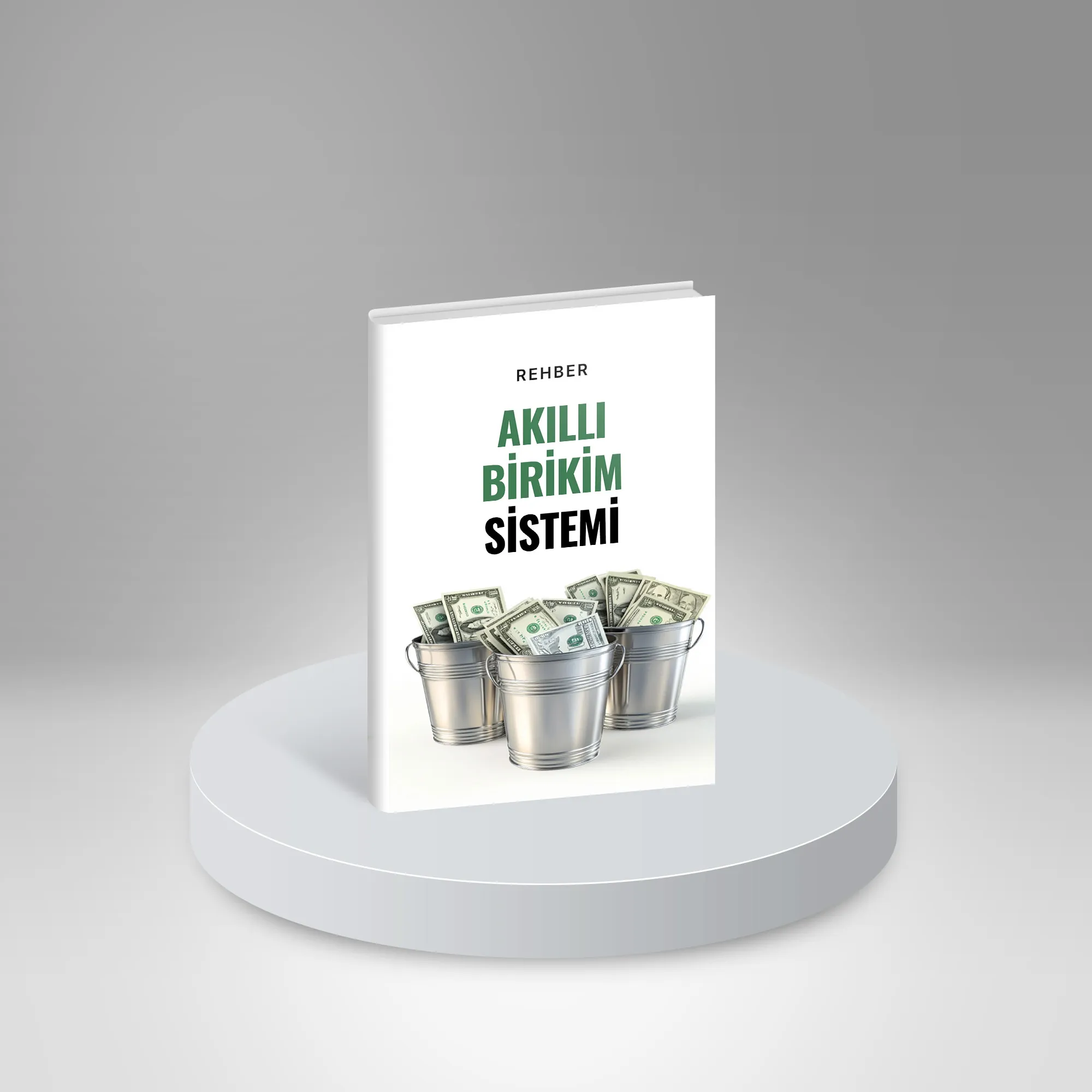 Akıllı Birikim Sistemi