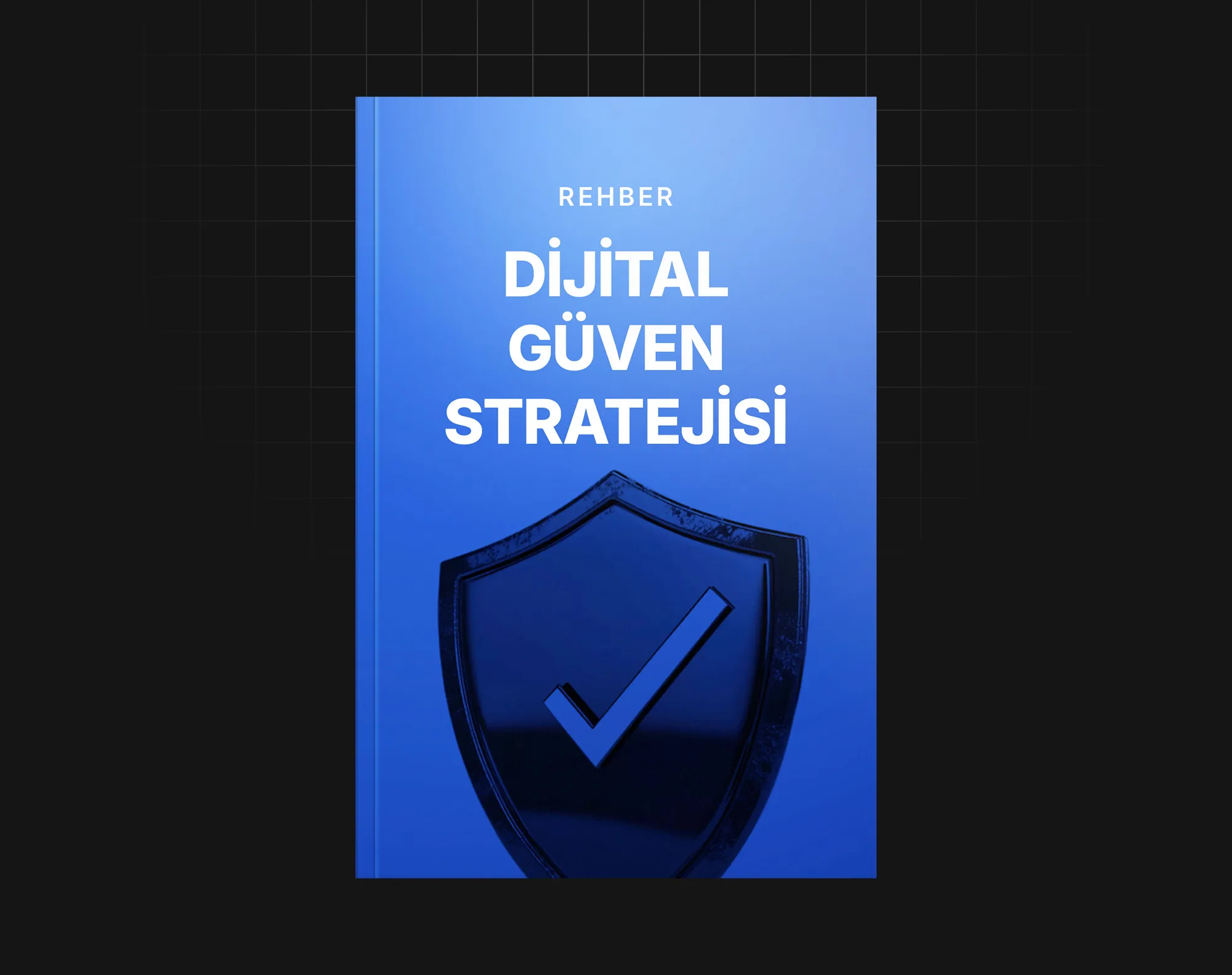 Dijital Güven Stratejisi