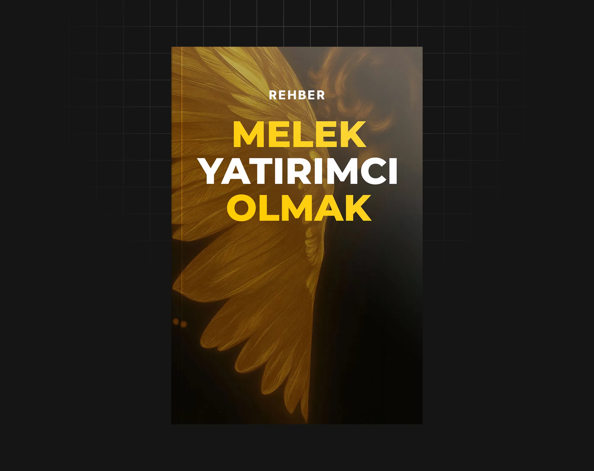 Melek Yatırımcı Olmak