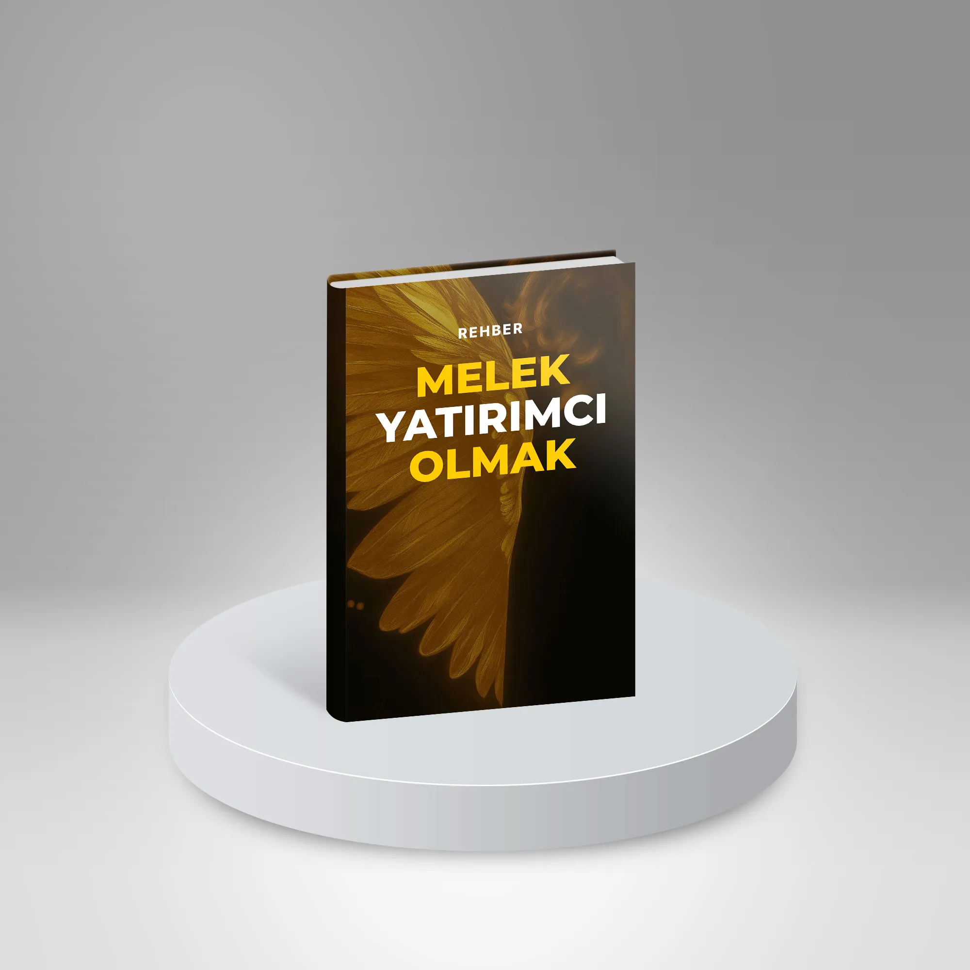Melek Yatırımcı Olmak