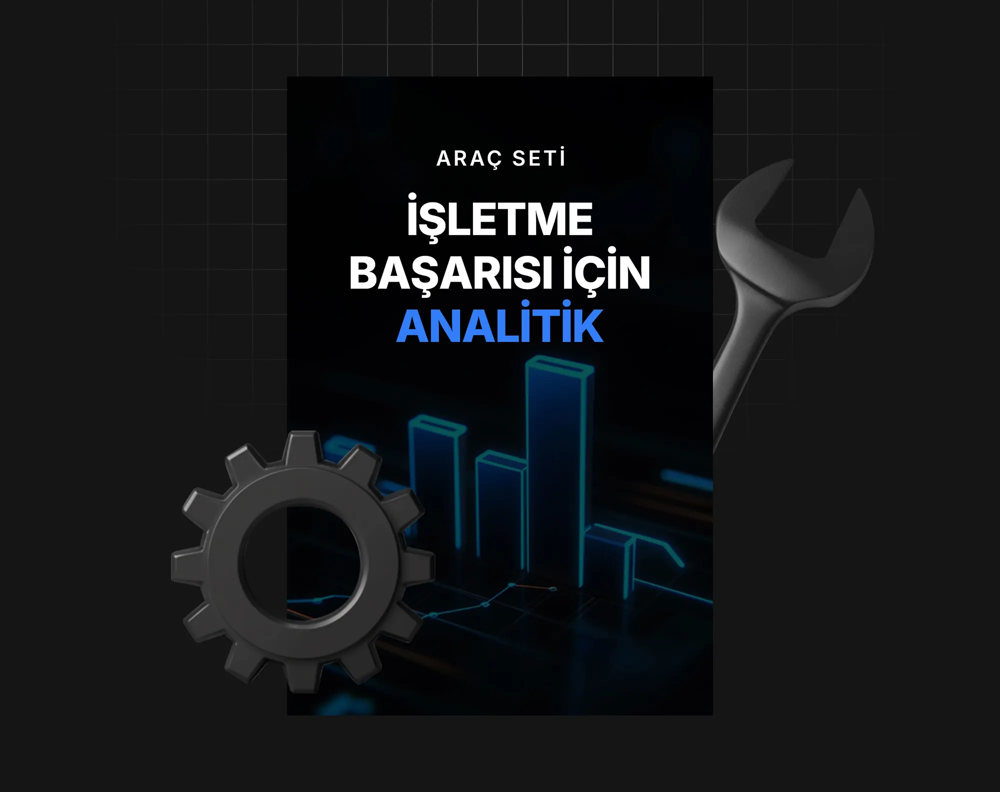 İşletme Başarısı İçin Analitik
