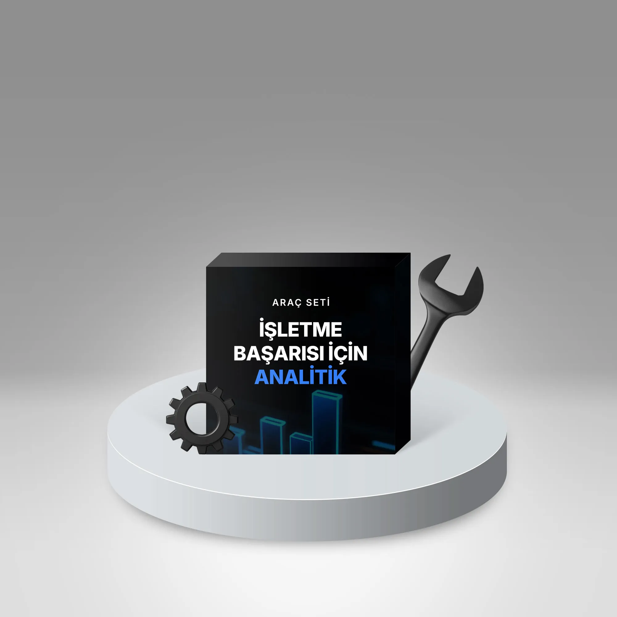 İşletme Başarısı İçin Analitik