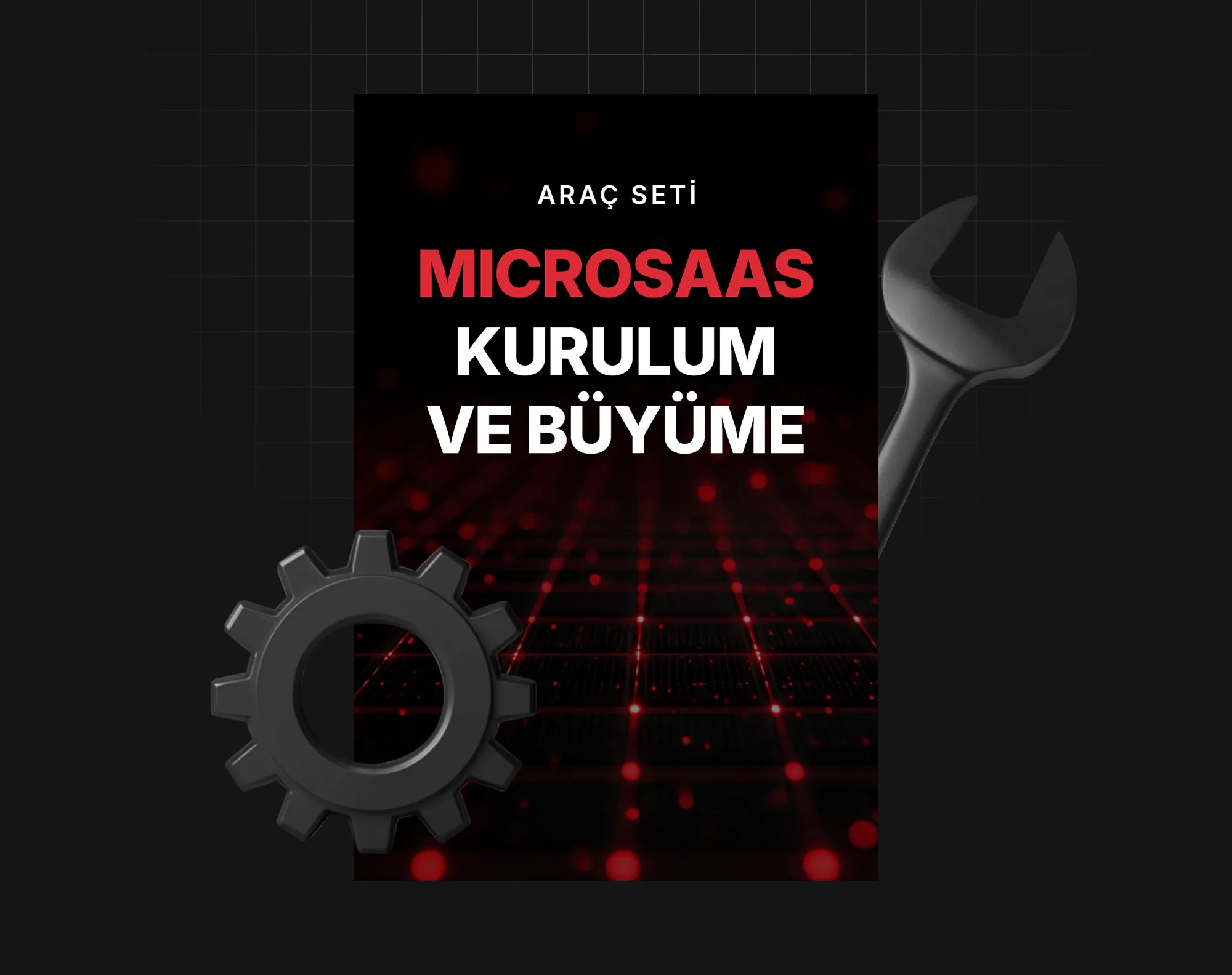 Microsaas Kurulum Ve Büyüme