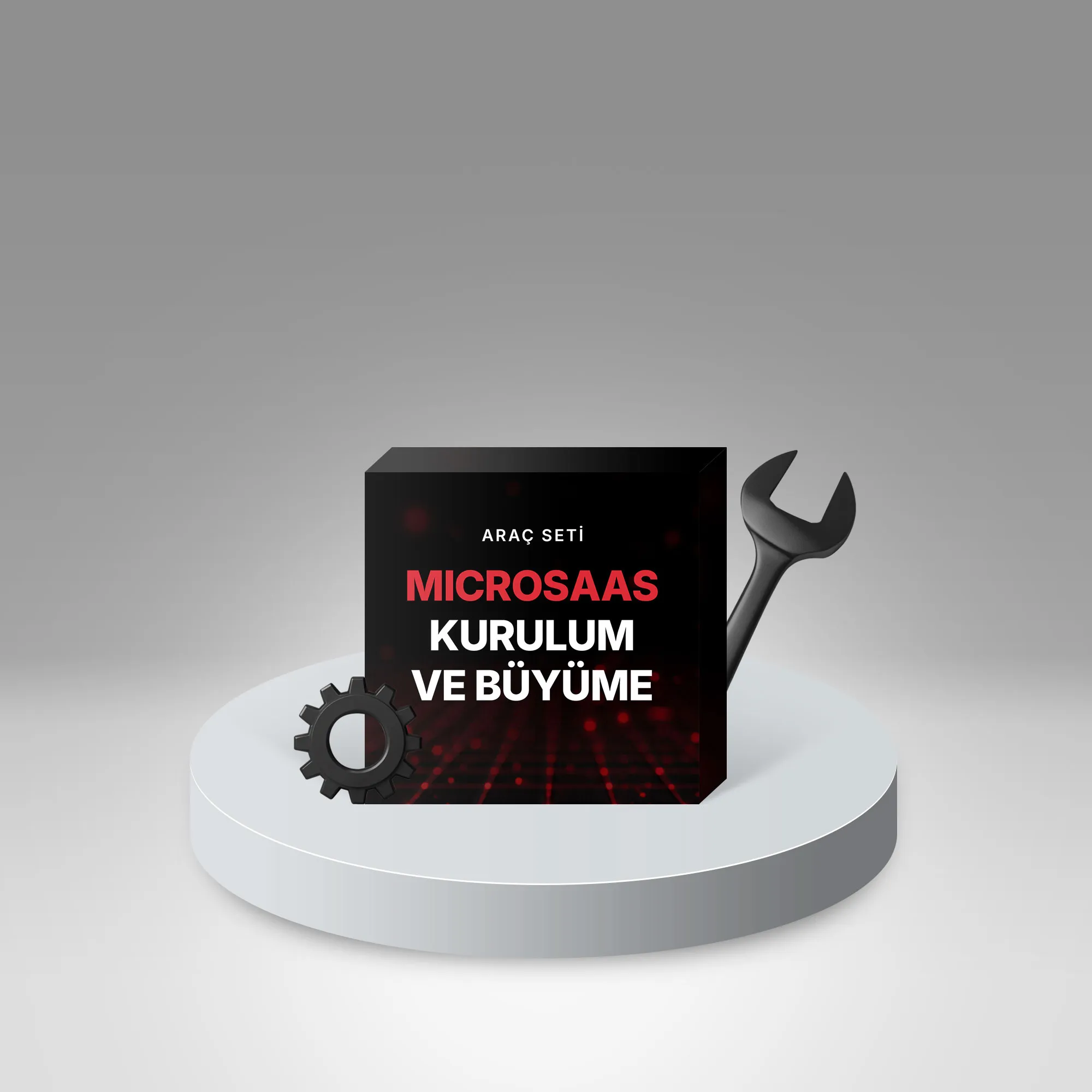 Microsaas Kurulum Ve Büyüme