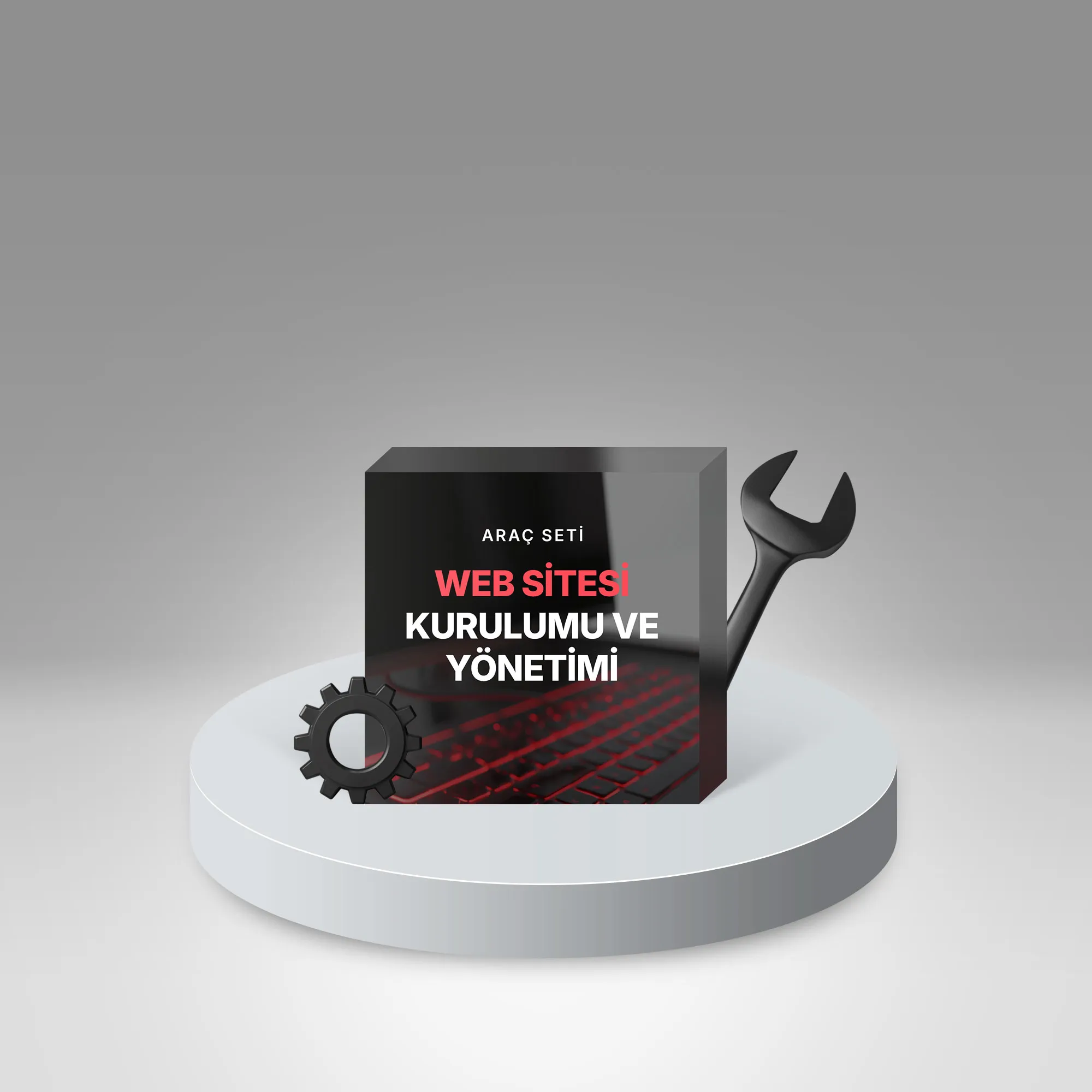 Web Sitesi Kurulumu Ve Yönetimi